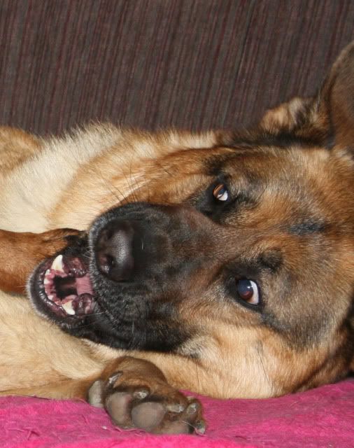 IMAGE: http://i70.photobucket.com/albums/i82/istie-5/Daire%202/Thevisitor0182.jpg