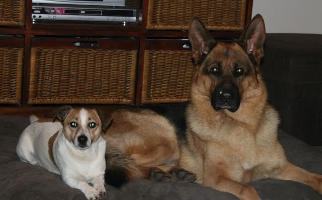 IMAGE: http://i70.photobucket.com/albums/i82/istie-5/Daire%202/Thevisitor040.jpg