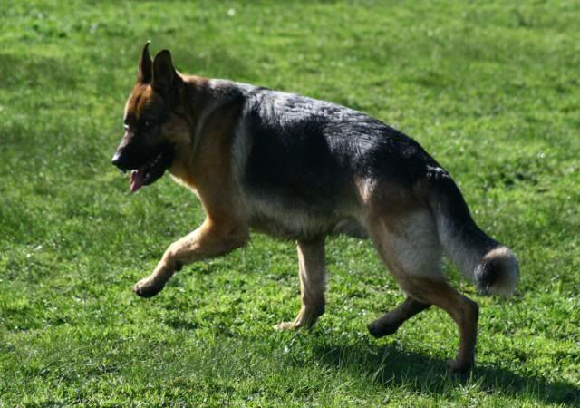 IMAGE: http://i70.photobucket.com/albums/i82/istie-5/Daire%202/daireatkcc095.jpg