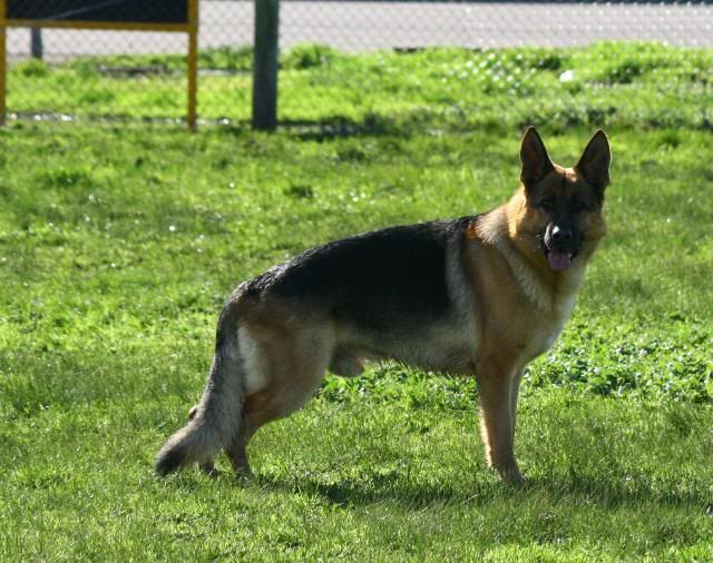 IMAGE: http://i70.photobucket.com/albums/i82/istie-5/Daire%202/daireatkcc108.jpg