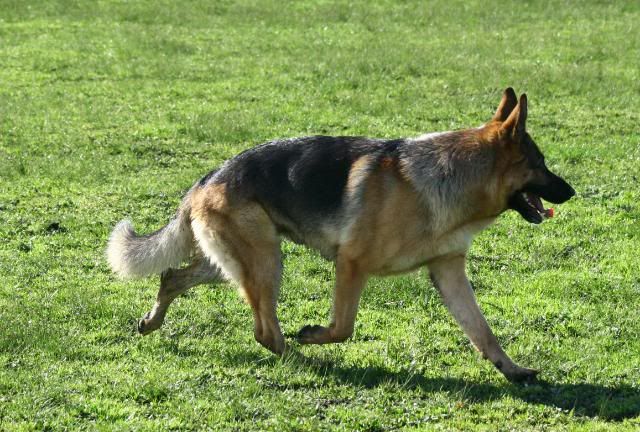 IMAGE: http://i70.photobucket.com/albums/i82/istie-5/Daire%202/daireatkcc142.jpg