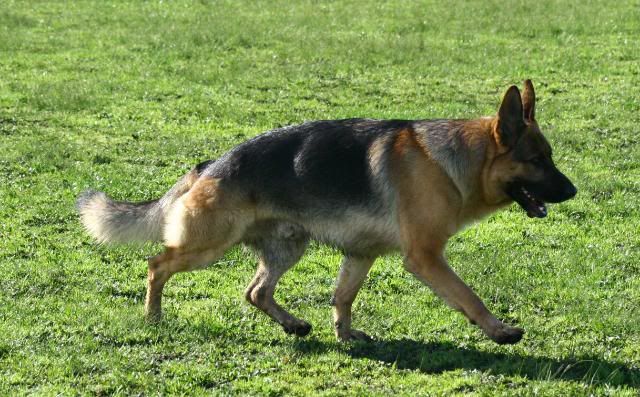 IMAGE: http://i70.photobucket.com/albums/i82/istie-5/Daire%202/daireatkcc143.jpg