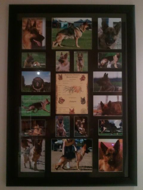 IMAGE: http://i70.photobucket.com/albums/i82/istie-5/Daire%202/f207cf9e.jpg