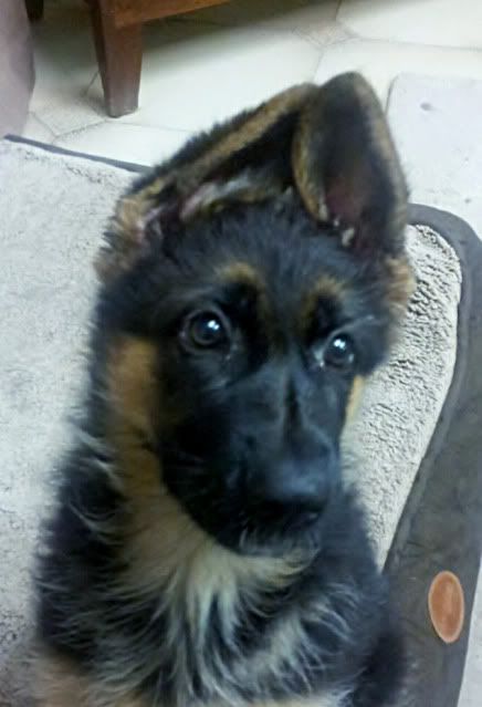 IMAGE: http://i70.photobucket.com/albums/i82/istie-5/Eva/e006a2c2.jpg