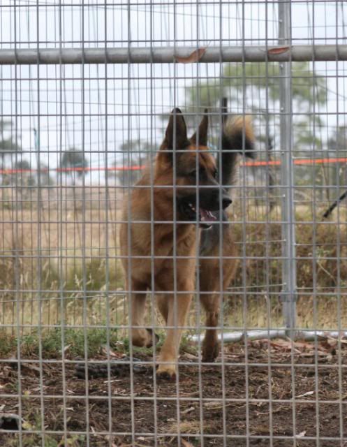 IMAGE: http://i70.photobucket.com/albums/i82/istie-5/Eva/evaday1018.jpg