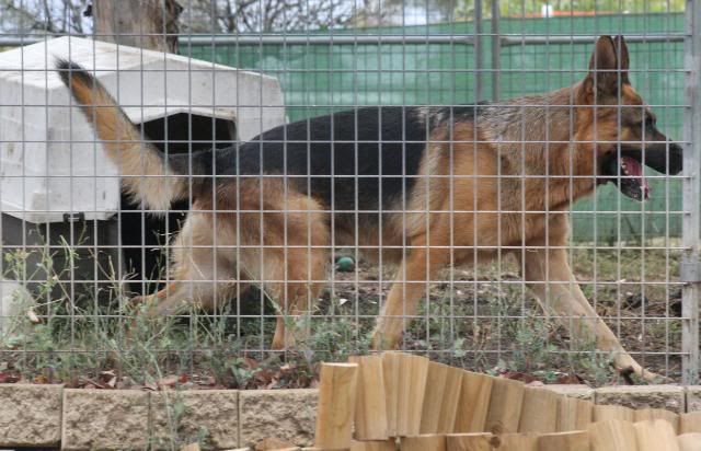 IMAGE: http://i70.photobucket.com/albums/i82/istie-5/Eva/evaday1024.jpg