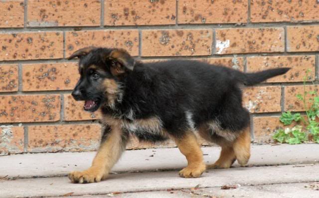 IMAGE: http://i70.photobucket.com/albums/i82/istie-5/Eva/evaday1070.jpg