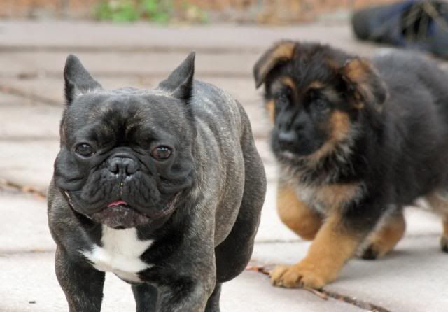 IMAGE: http://i70.photobucket.com/albums/i82/istie-5/Eva/evaday1118.jpg