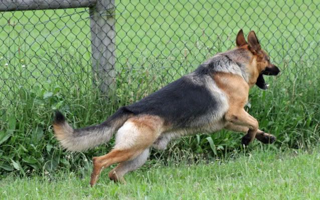 IMAGE: http://i70.photobucket.com/albums/i82/istie-5/Kids%20at%20KCC%20Nov%202010/dandmatkcc077.jpg