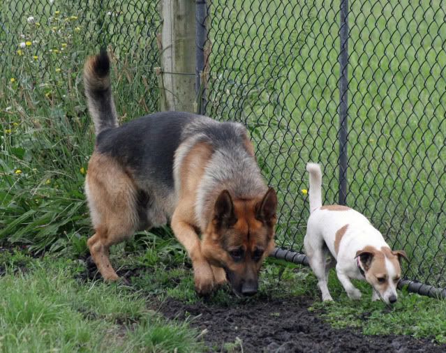 IMAGE: http://i70.photobucket.com/albums/i82/istie-5/Kids%20at%20KCC%20Nov%202010/dandmatkcc081.jpg