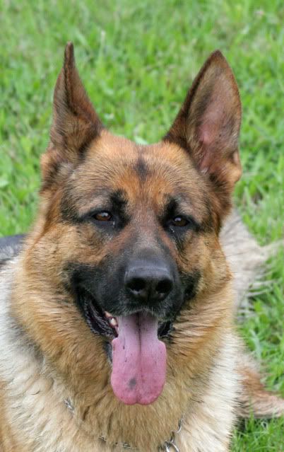 IMAGE: http://i70.photobucket.com/albums/i82/istie-5/Kids%20at%20KCC%20Nov%202010/dandmatkcc141.jpg