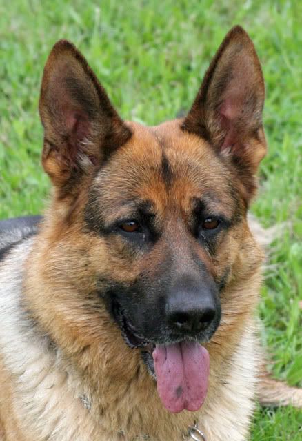 IMAGE: http://i70.photobucket.com/albums/i82/istie-5/Kids%20at%20KCC%20Nov%202010/dandmatkcc143.jpg