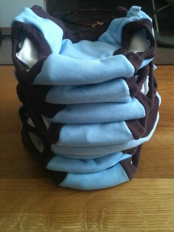 8 large Blueberry trainers $60ppd 8 large Blueberry trainers $60ppd
