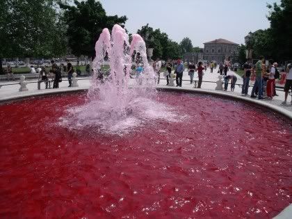 fontana rosa