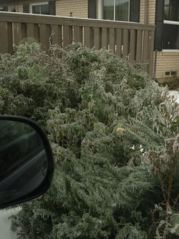 winter storm 2013 photo photo1_zpsd94b8482.jpg