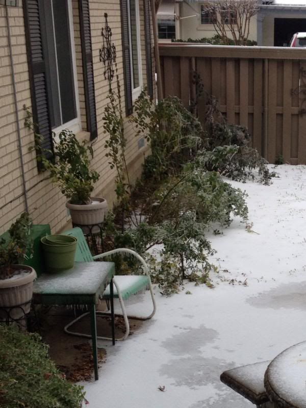 photo photo2_zps6f89ab5b.jpg