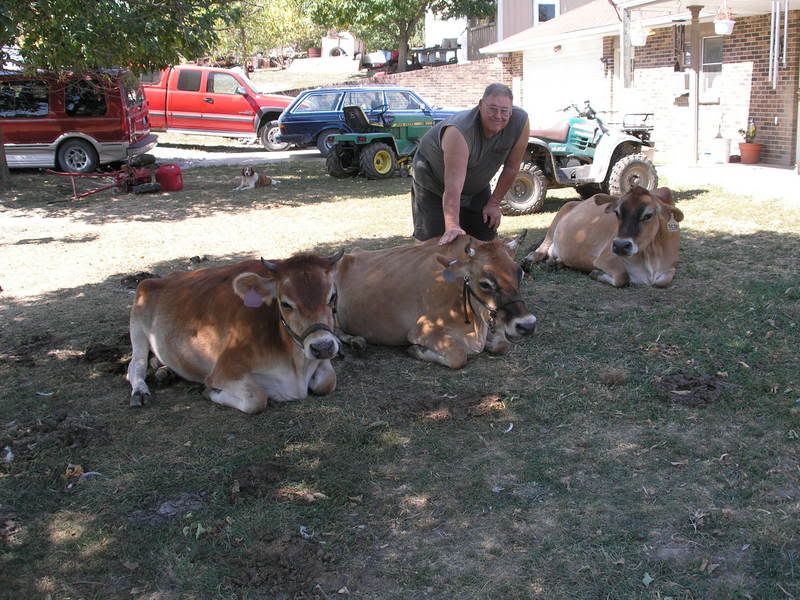 Test - Cattle