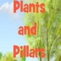 PlantsandPillars