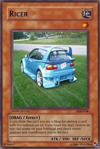 RICER.jpg