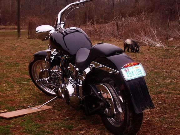 87Softail001webpic.jpg