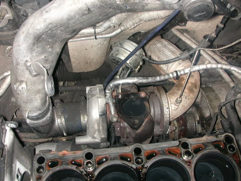 DSCN1982.jpg