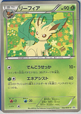 photo lcard31.png
