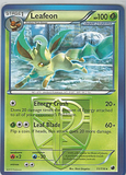 photo lcard31.png