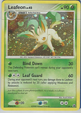 photo lcard31.png