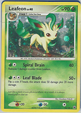 photo lcard31.png