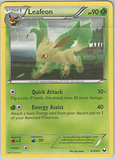 photo lcard31.png