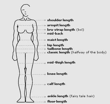 lengthmeasurement-vi.jpg