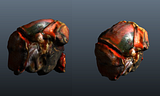 th_torax_render2.png