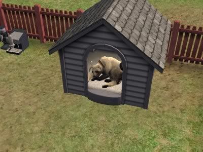 snapshot_72455292_b2455def.jpg