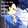 Vegetaflip.png