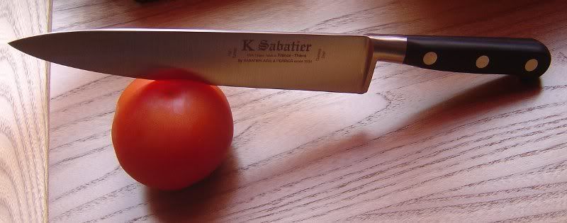 http://i70.photobucket.com/albums/i89/oberon_lyon/sabatier/sabatier2.jpg