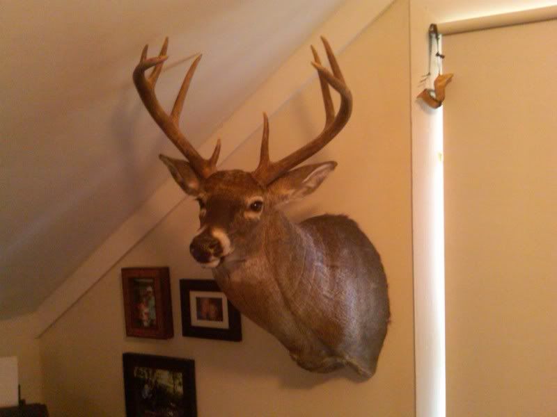 9pt2010mount.jpg