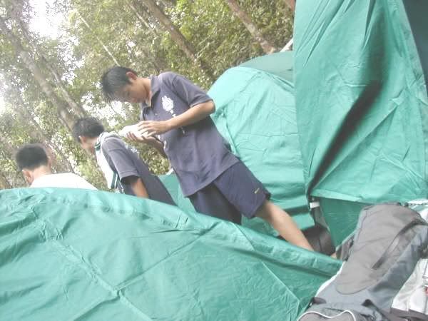 Photo Sharing and Video Hosting at Photobucket