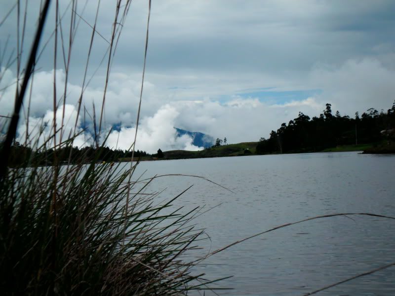 fotografia fotografia