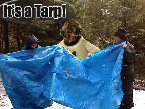 its-a-tarp-719413.jpg