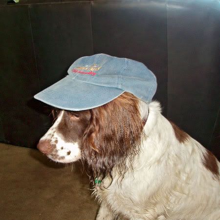 oh the humiliation