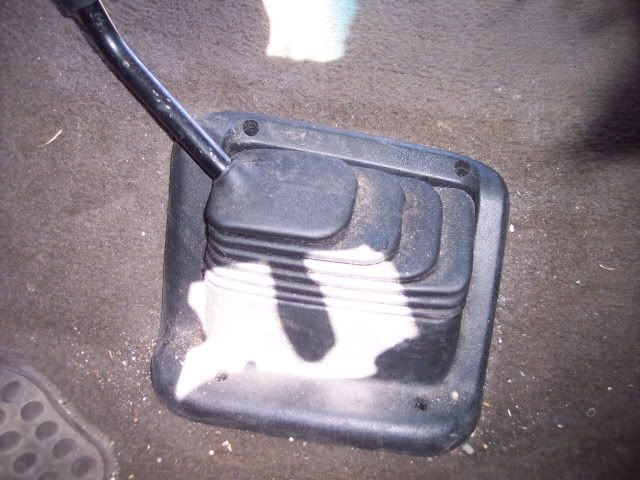 100_0377.jpg