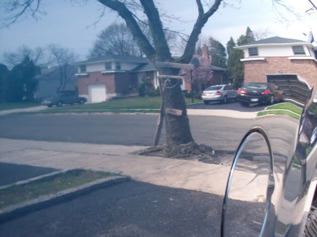 100_0398.jpg