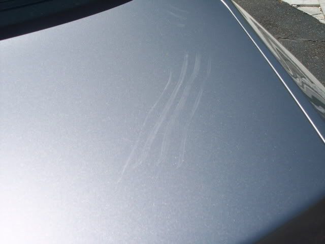 100_0452.jpg