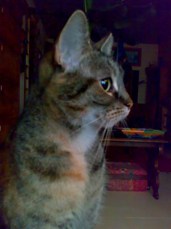 140120111351.jpg