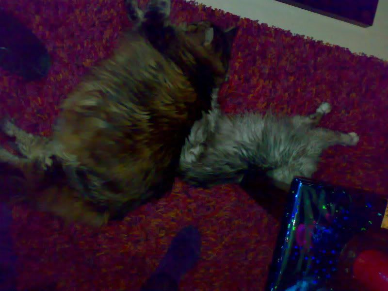 241220101328.jpg