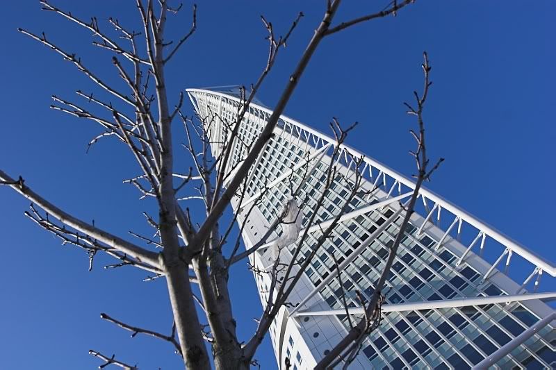 IMAGE: http://i70.photobucket.com/albums/i92/hemuni/POTN/14.jpg