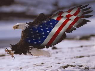 AmericanEagle.jpg picture by mastertanks