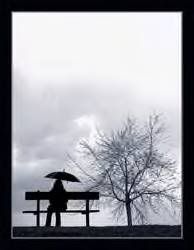 black && white ash tree. Pictures, Images and Photos