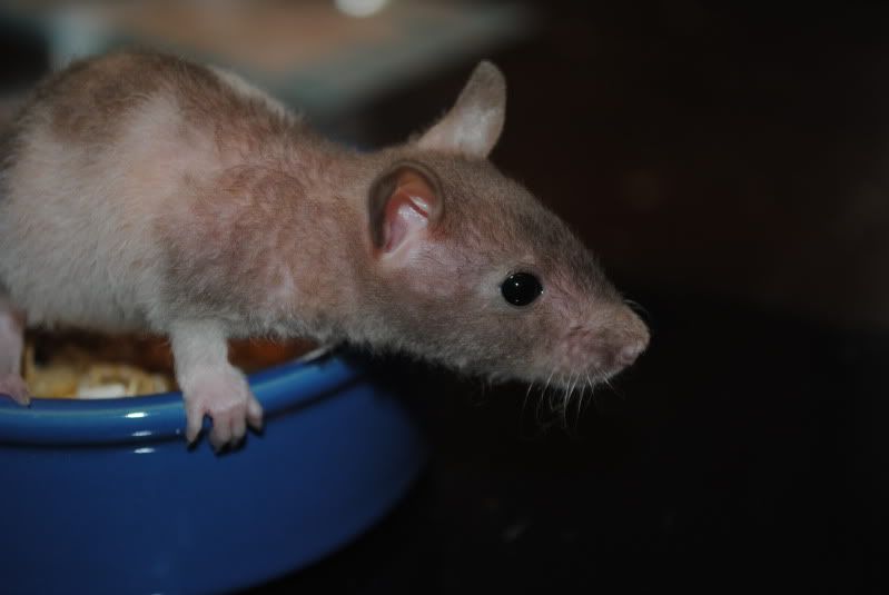 DSC_01302.jpg