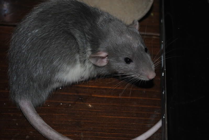 DSC_0151.jpg